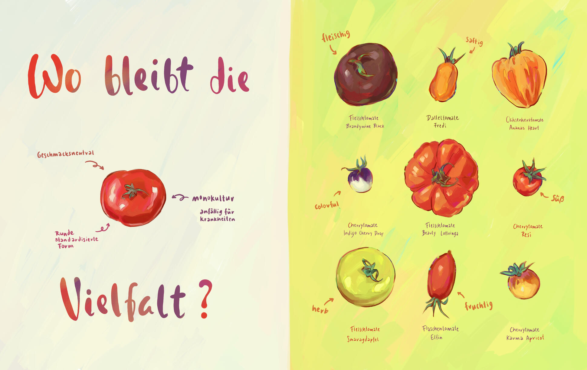 Vielfalt Tomaten